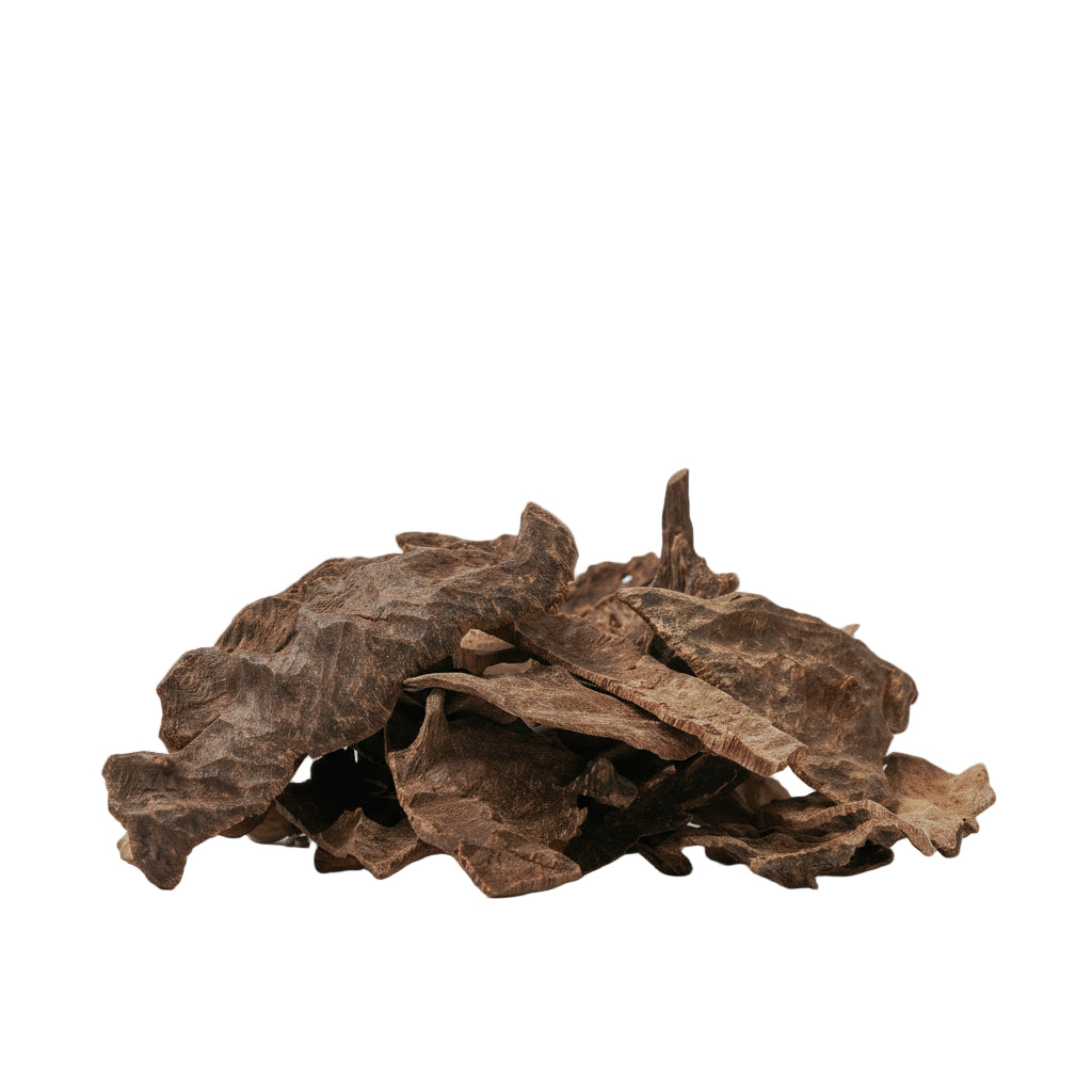 جار جاروهلز - شخصي