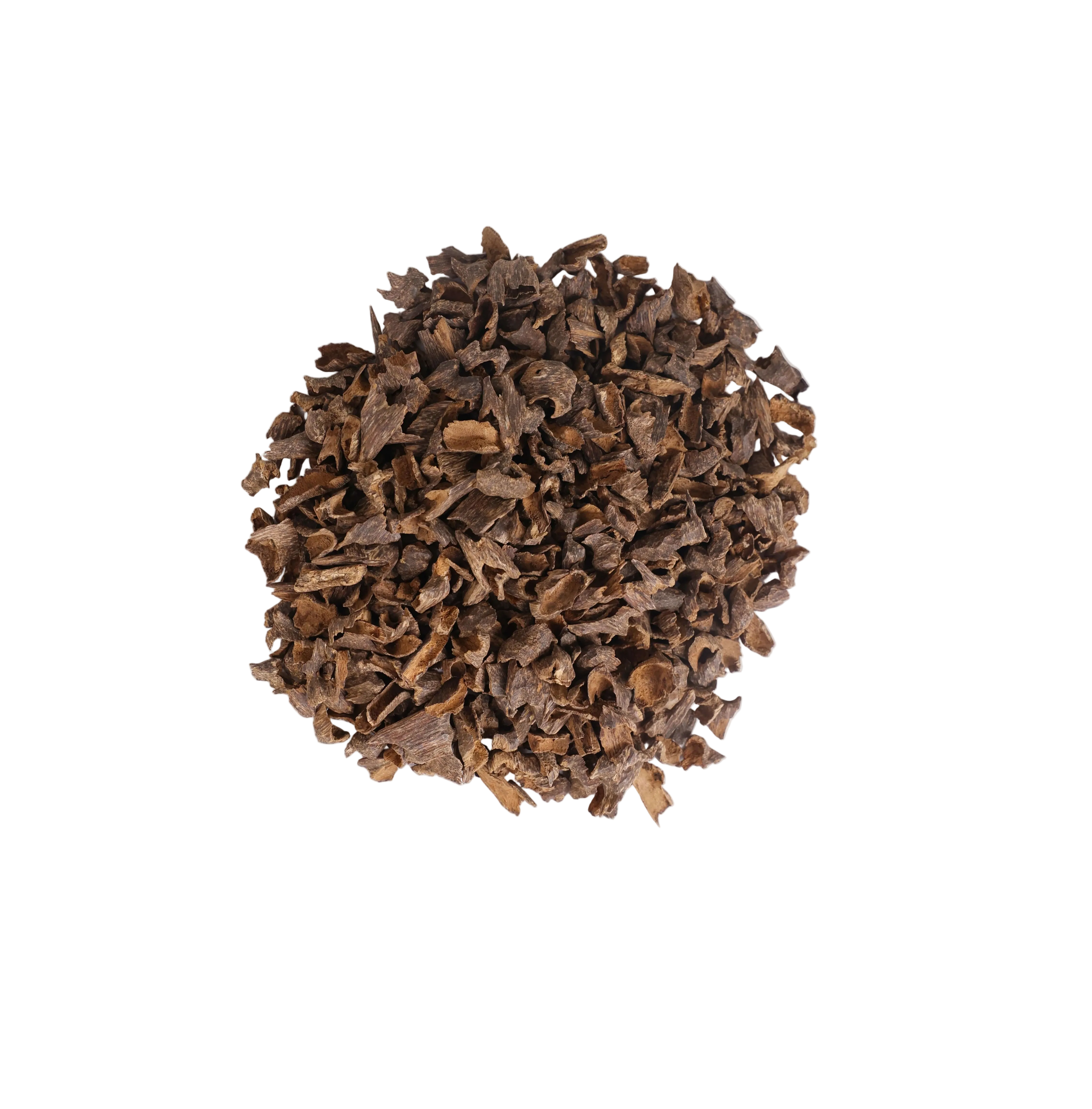 كودي موري - شخصي