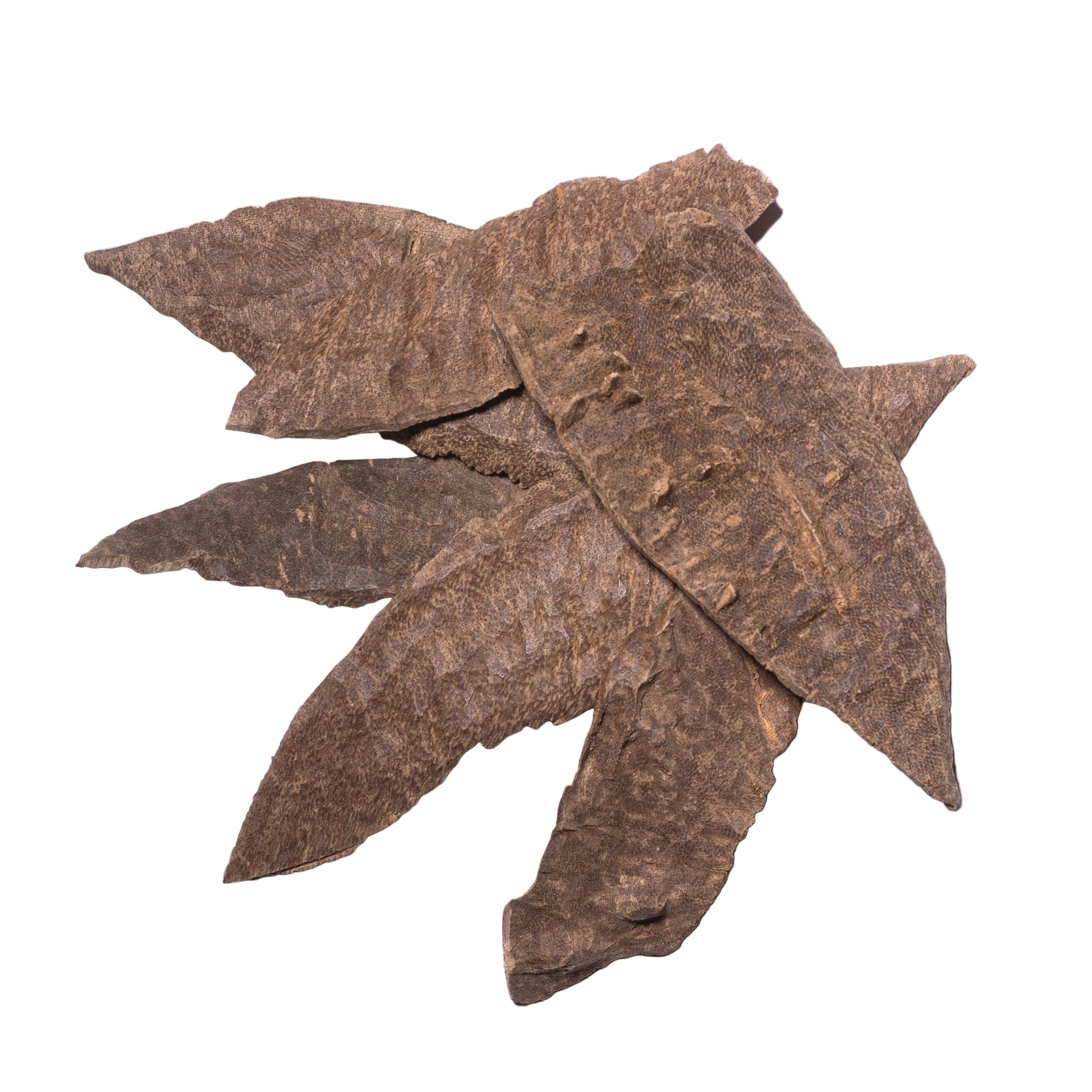 جار جاروهلز - شخصي